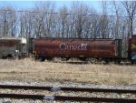 CN 109195 is new to RRPA!